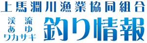 上馬淵川漁協 公式釣り情報サイト